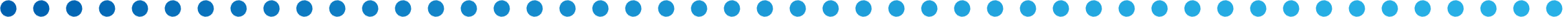 Dot Divider