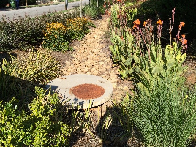 Bioswale on townhome development in Atlanta, GA.