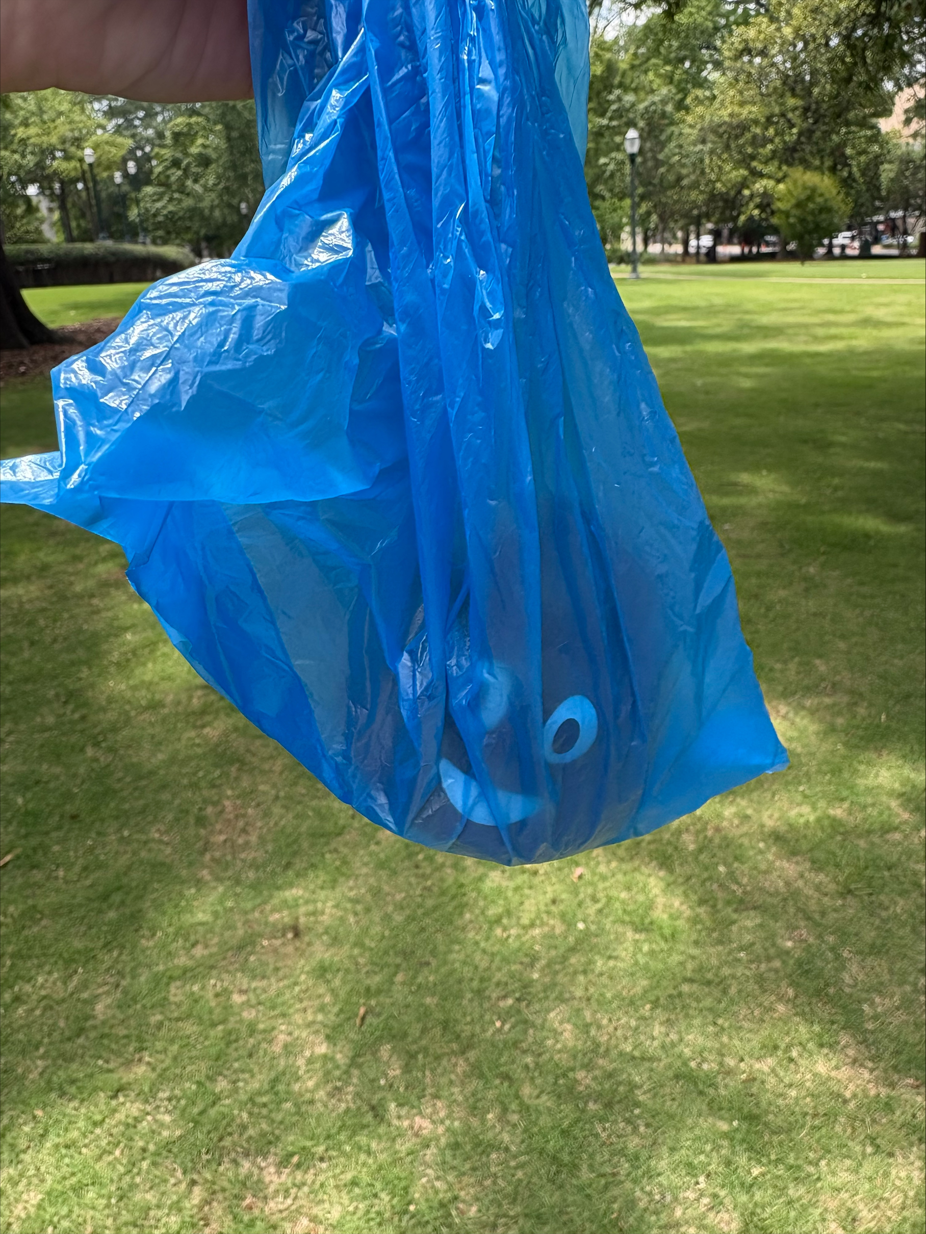 Poo Toss 2